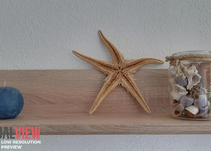 Διαμέρισμα Porto Cristo - Au Port Sans Vis A Vis -wifi - Parking Saint-Cyprien (Pyrenees-Orientales)
